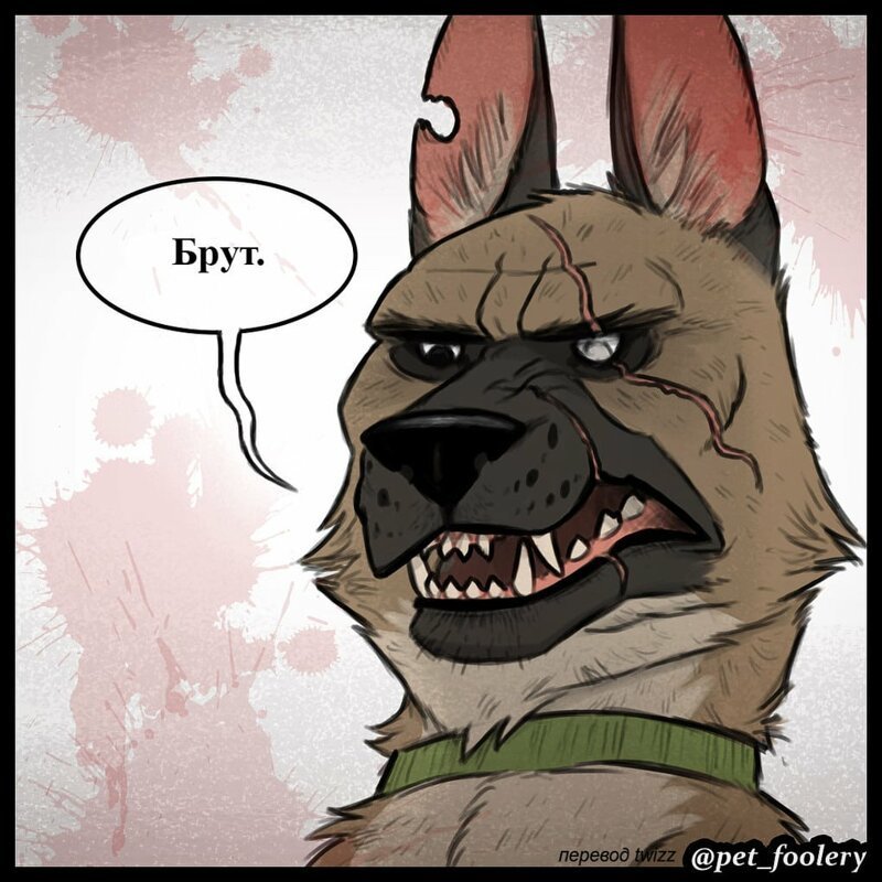 брут и пикси