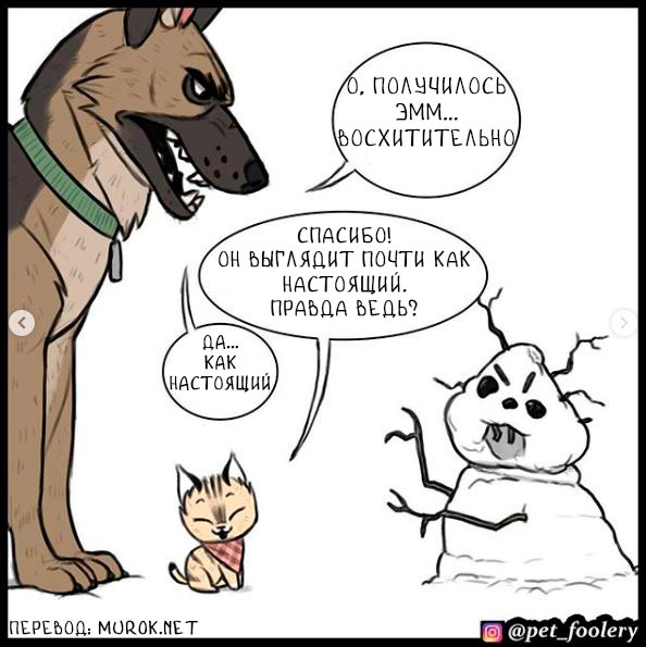 брут и пикси