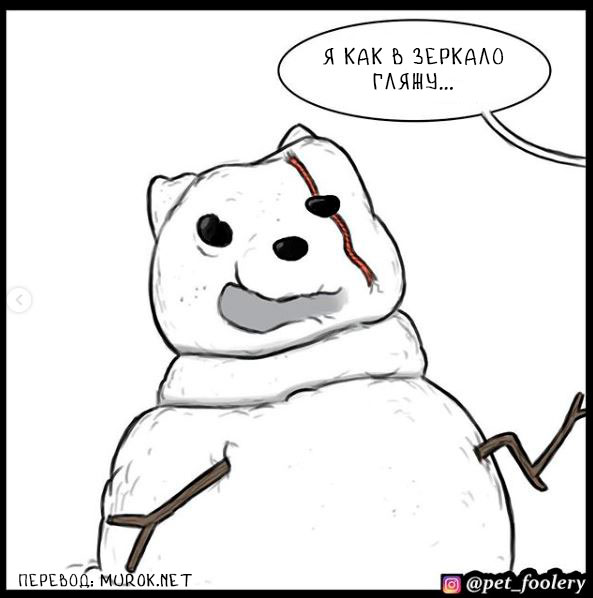 брут и пикси