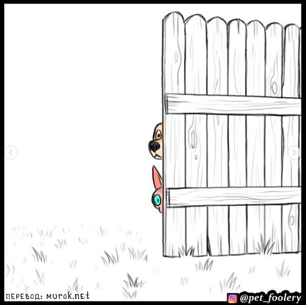 брут и пикси