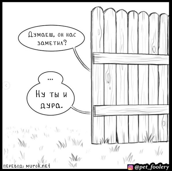 брут и пикси