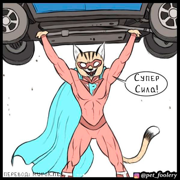 брут и пикси