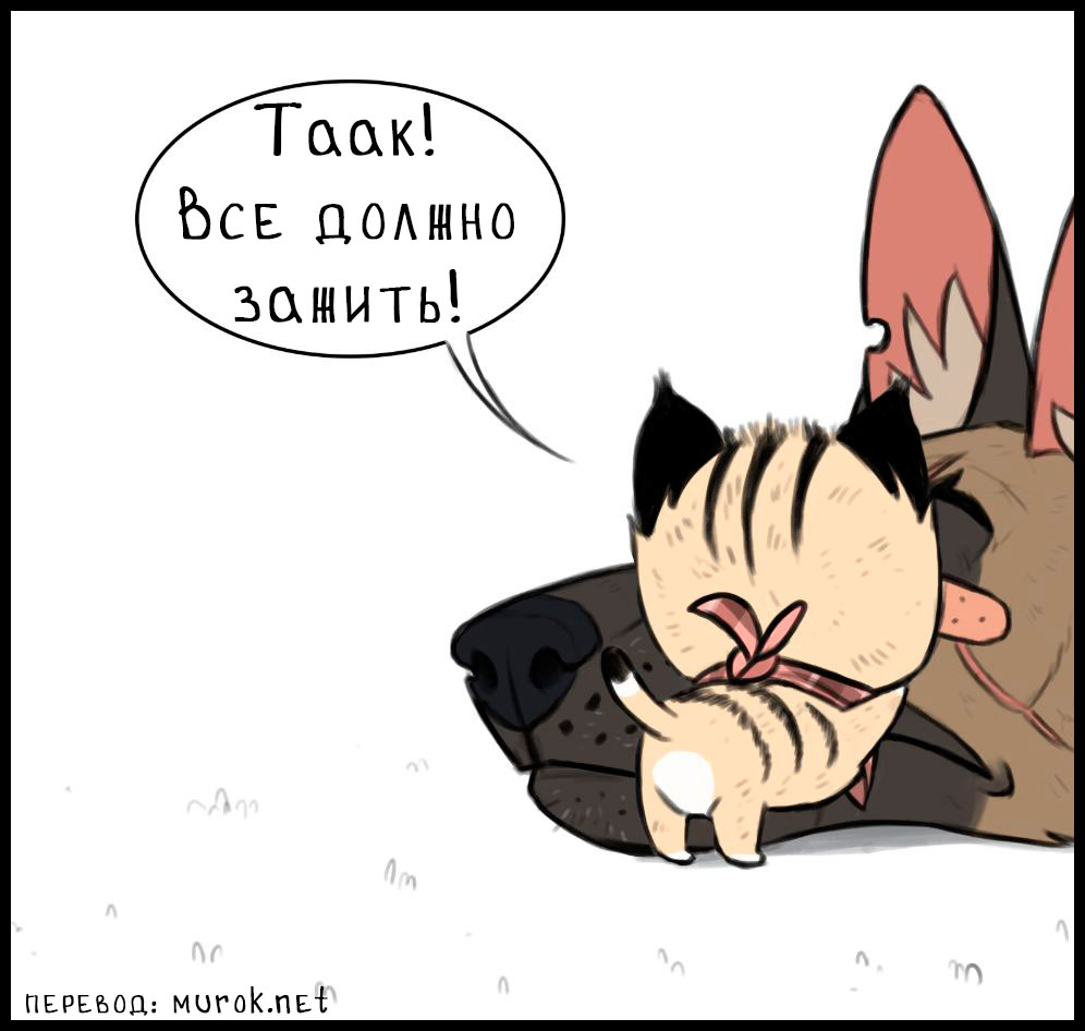 брут и пикси