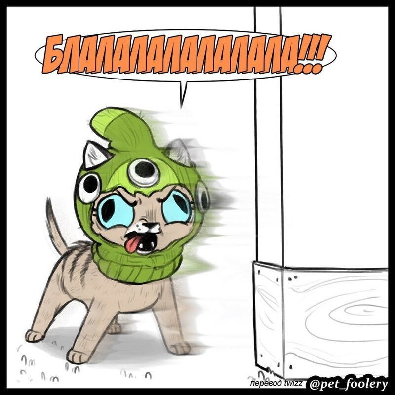 брут и пикси