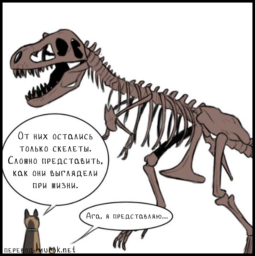 брут и пикси