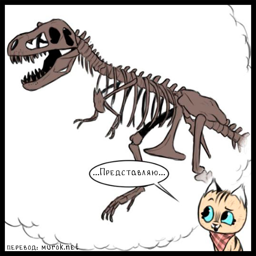 брут и пикси