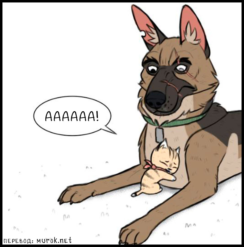 брут и пикси