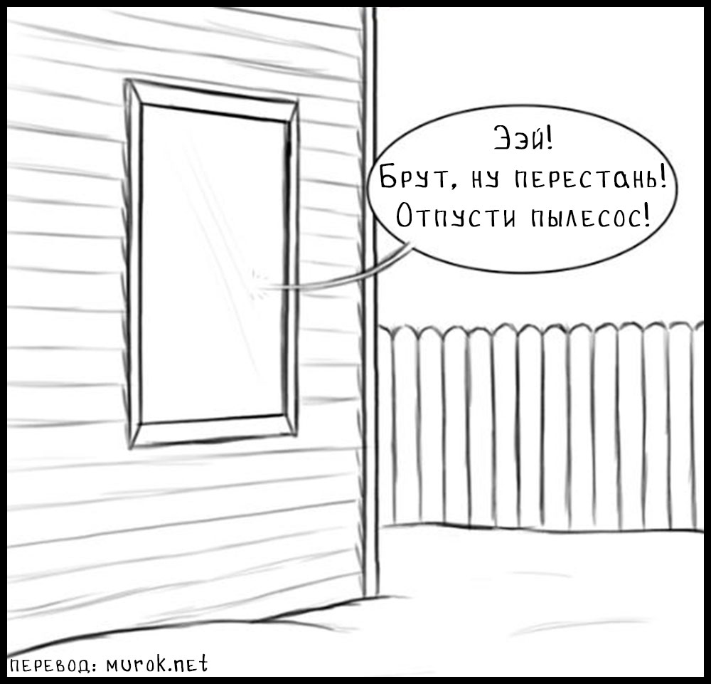 брут и пикси