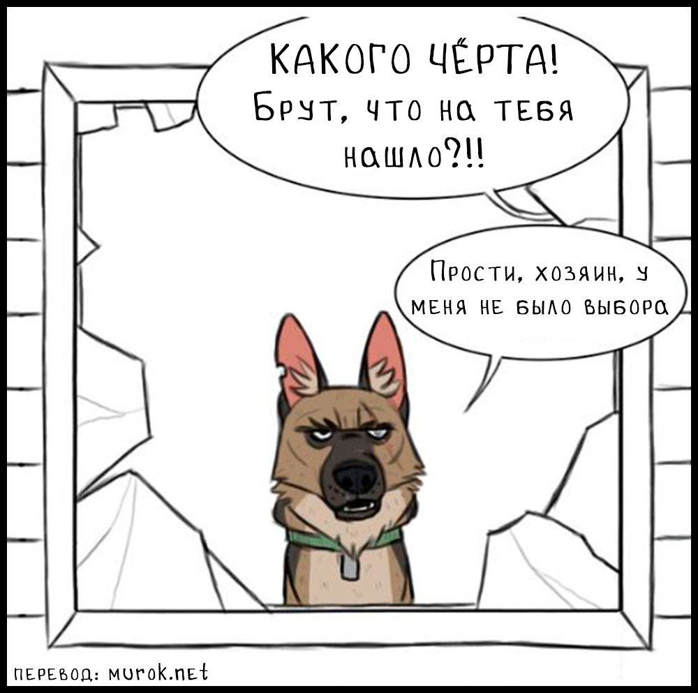 брут и пикси