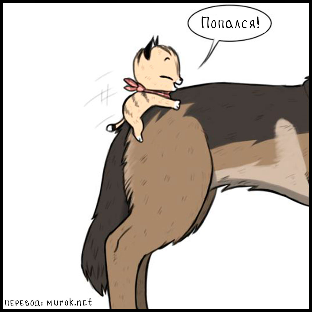 брут и пикси