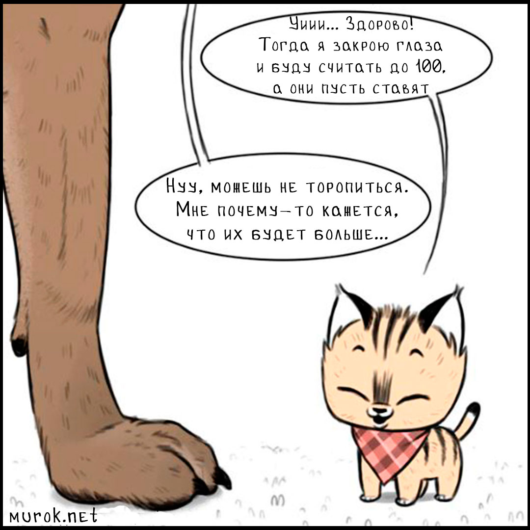 брут и пикси