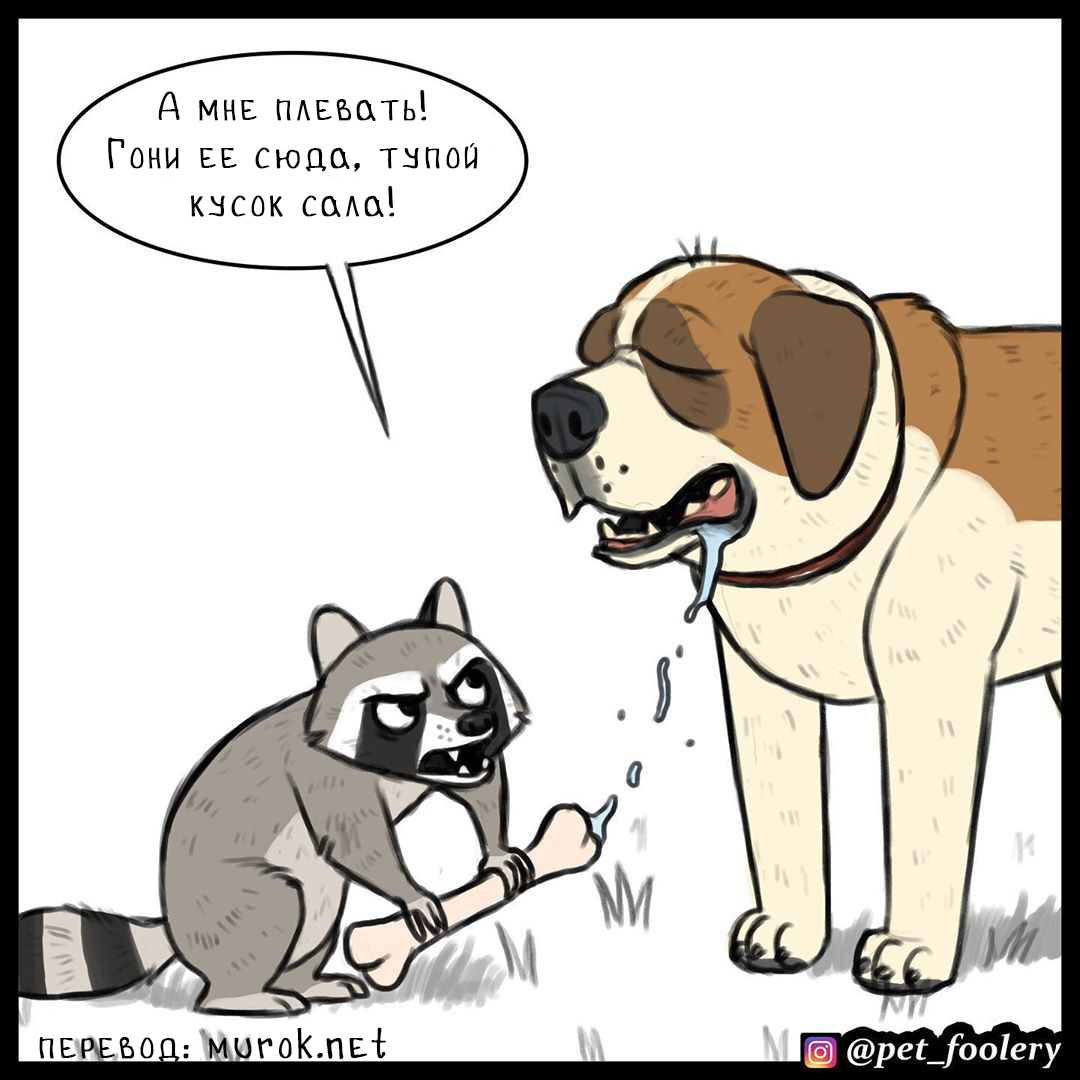 брут и пикси