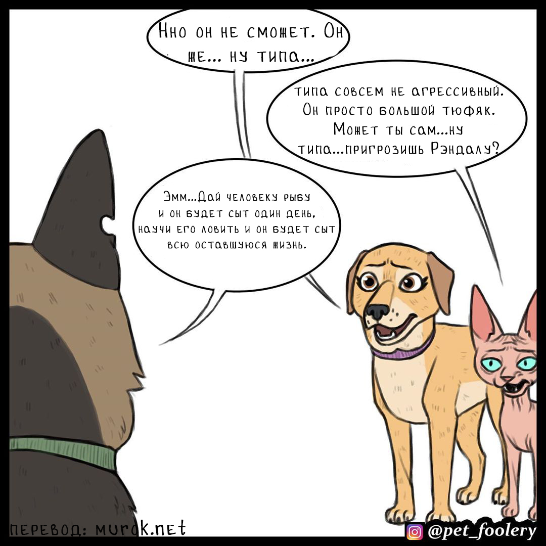 брут и пикси