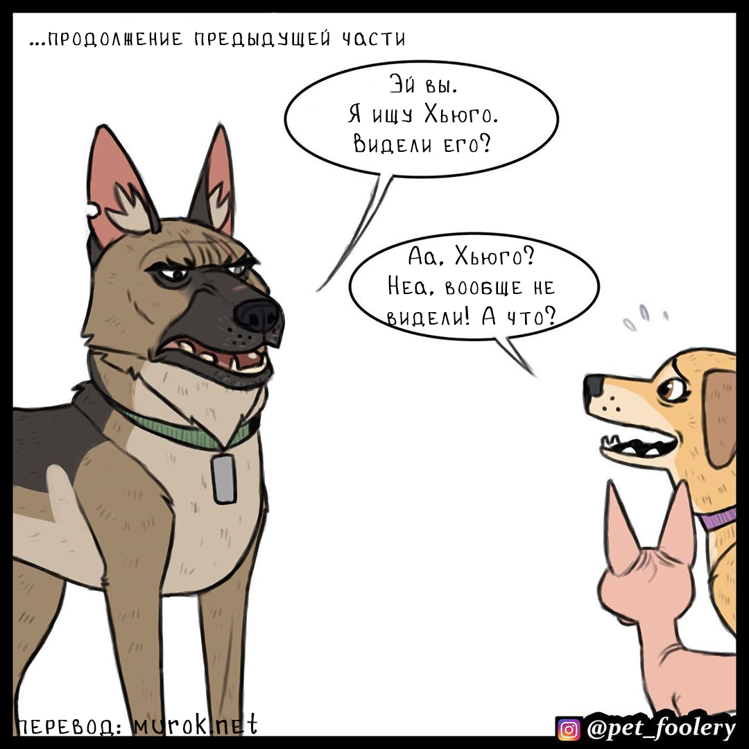 брут и пикси