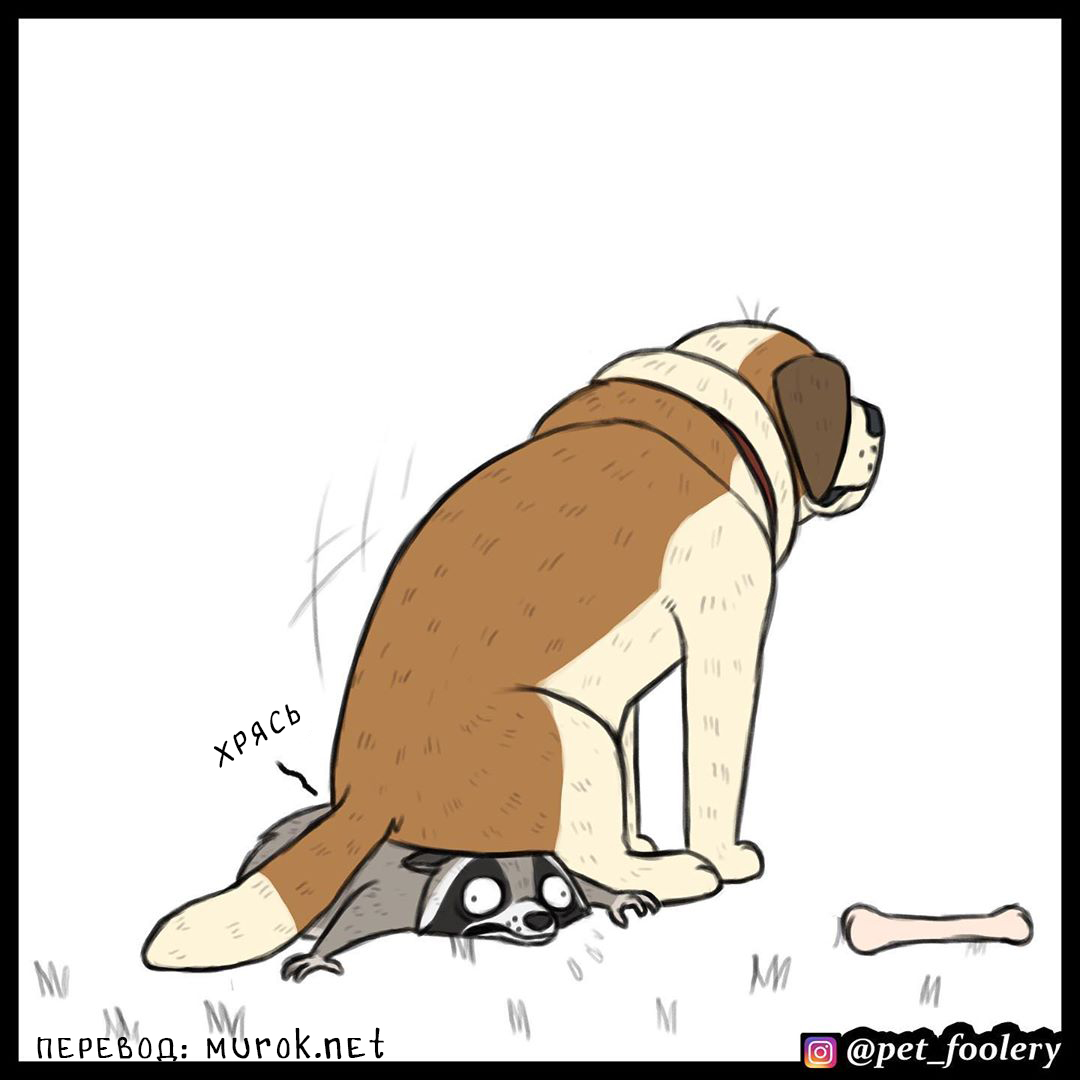 брут и пикси