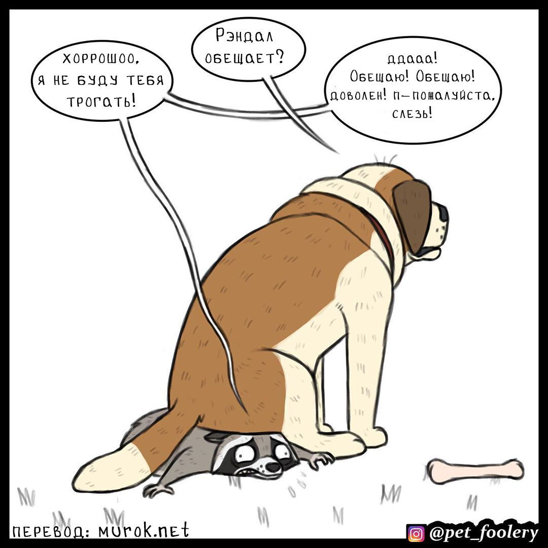 брут и пикси