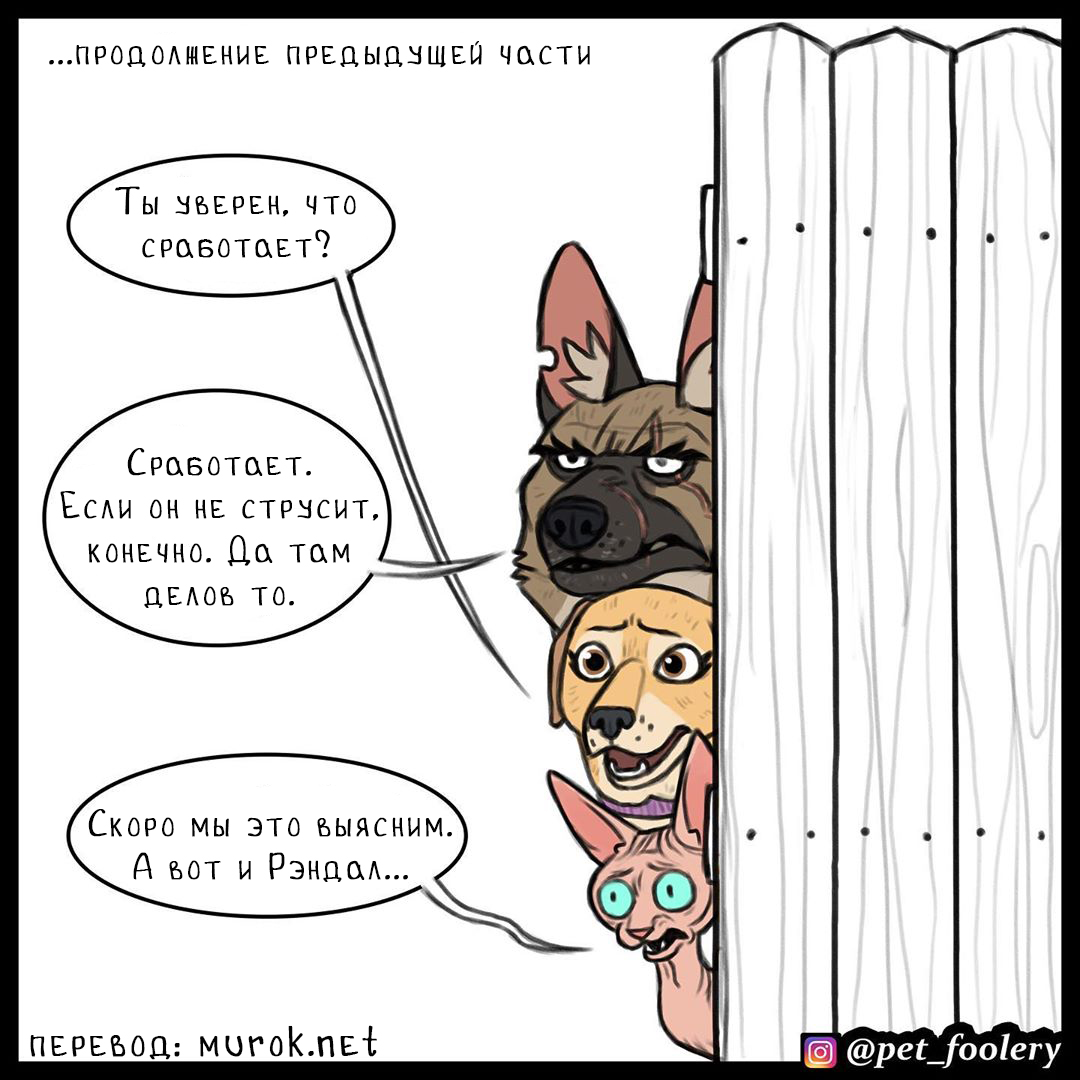 брут и пикси