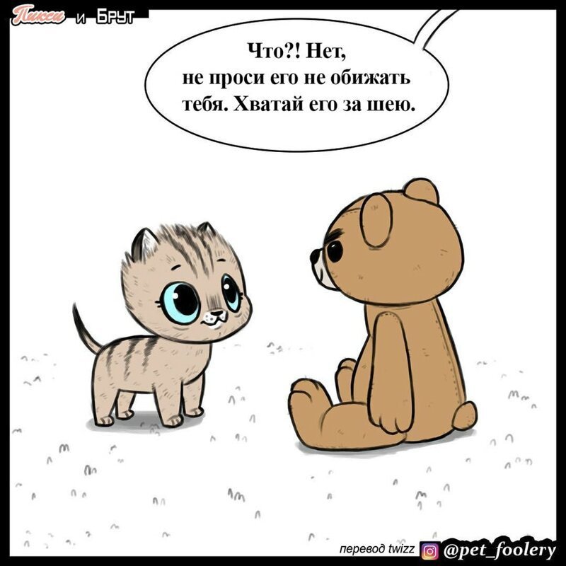 брут и пикси