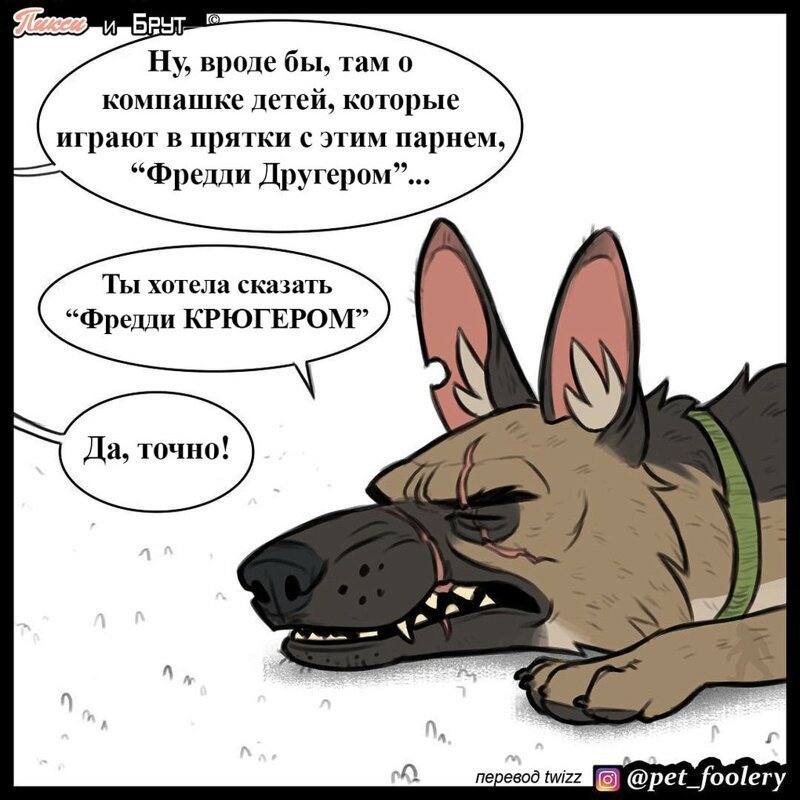 брут и пикси