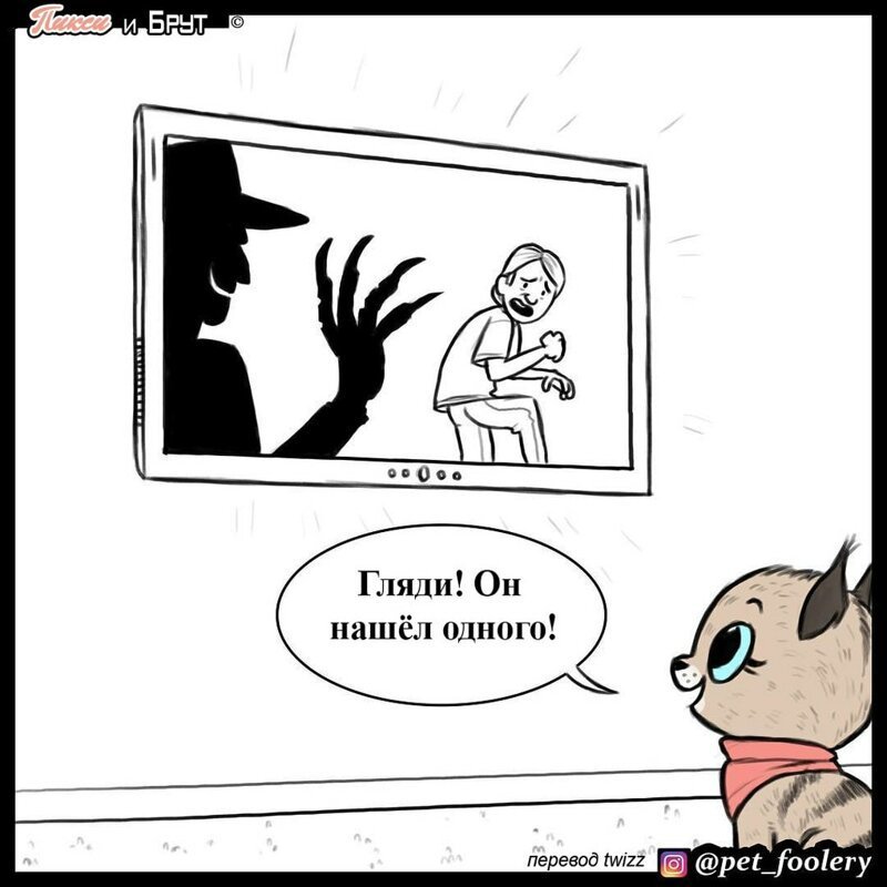 брут и пикси