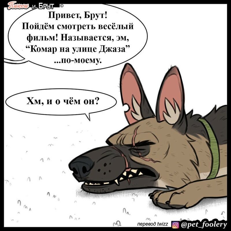 брут и пикси