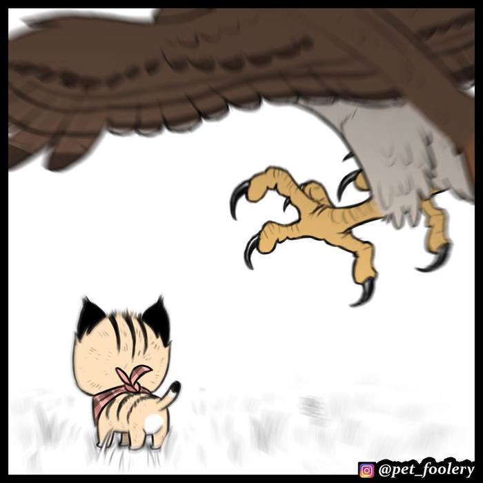 брут и пикси